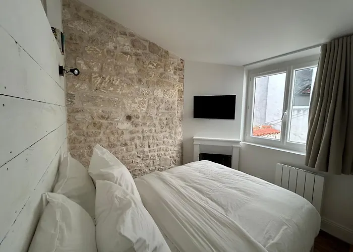 Apartamento La Maison Beraud - Prestige - Centre Historique De